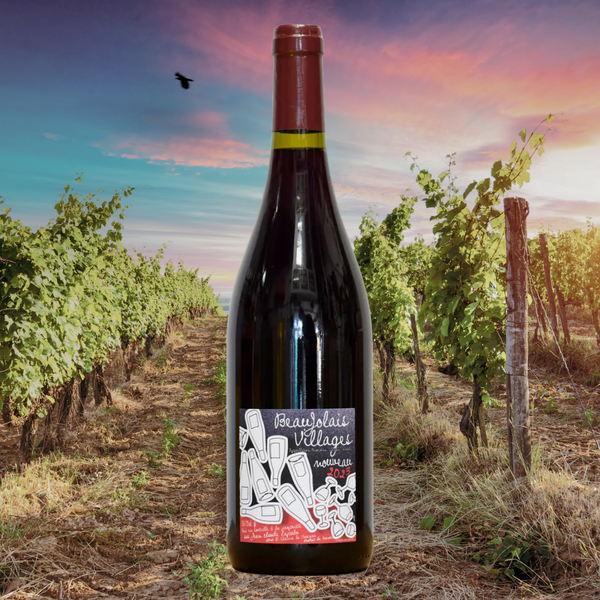 Lapalu - Beaujolais Nouveau 2025 - Young, Bright & Beautifully Balanced - France