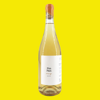 Vinyes Singulars – Pim Pam Orange – Zesty Tangy Bright – Xarel·lo – Penedès – 2023 – 75cl