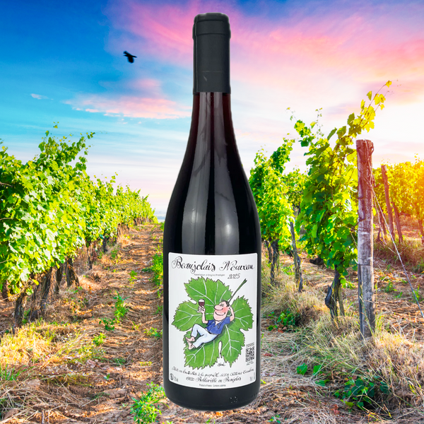 Chateau Cambon Beaujolais Nouveau 2025 - Fresh, Bright Beaujolais Nouvea ripe w/ Cherries & Berries - France