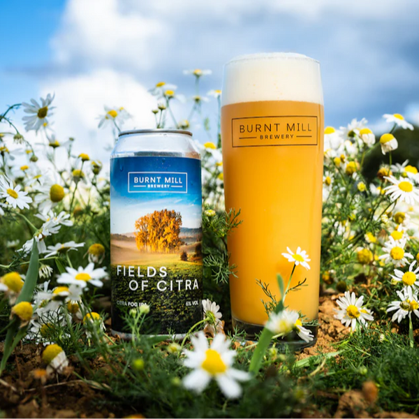 Burnt Mill - Fields Of Citra - 6% Fog IPA - 440ml Can Burnt Mill - Fields Of Citra - 6% Fog IPA - 440ml Can