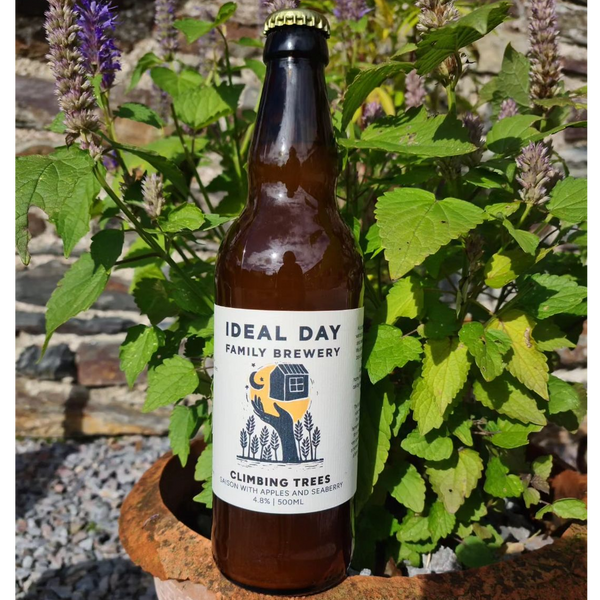 Ideal Day - Climbing Trees - 4.8% Saison w Apples and Seaberry - 500ml Bottle Ideal Day - Climbing Trees - 4.8% Saison w Apples and Seaberry - 500ml Bottle